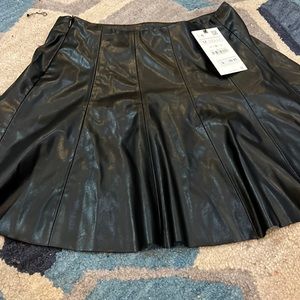 Zara pleaded skirt